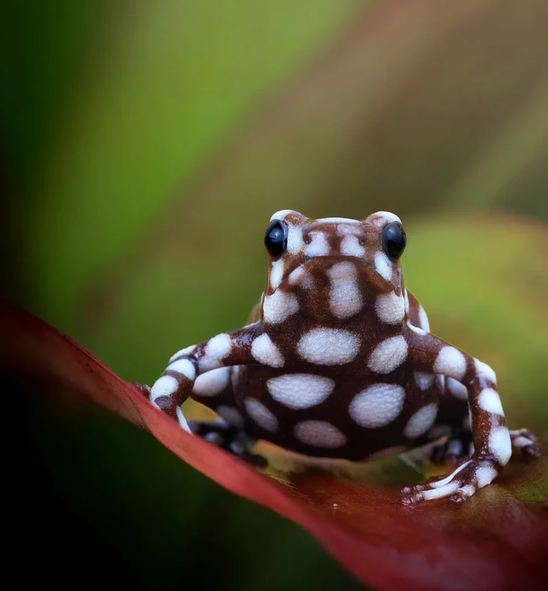 Kata Beracun Tapi Bikin Terpesona