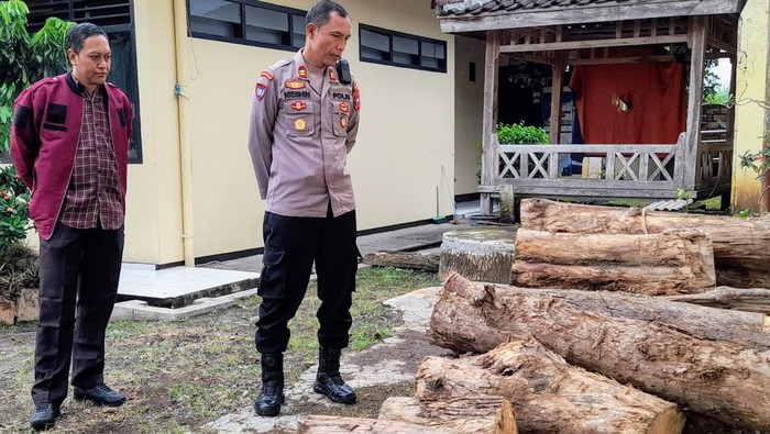 Kayu ilegal yang diamankan di Bonndowoso
