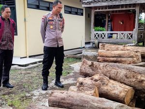 81 Batang Kayu Jati Ilegal di Bondowoso Diamankan, Pemilik Kabur