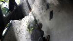 Melihat Penen Madu Hutan di Aceh