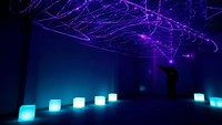 Museum ini milik teamLab Borderless yang merupakan sekelompok karya seni yang membentuk satu dunia tanpa batas.  