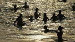 Neraka Bocor di Brasil, Suhu Capai 62 Derajat Celcius