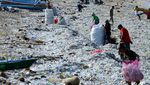Penampakan Sampah Plastik di Pantai Kedonganan Bali