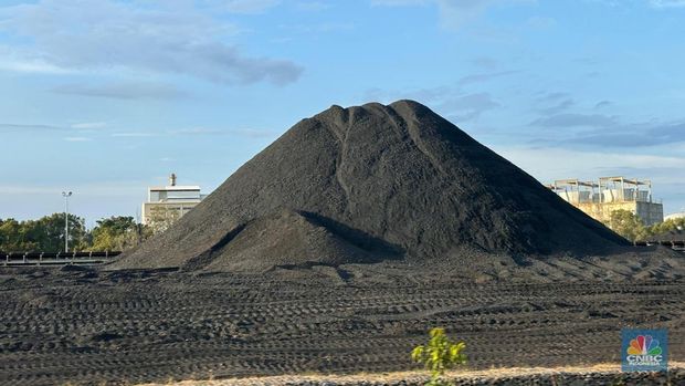 Stock Pile batu bara PT Kaltim Prima Coal, Tanjung Bara, Kalimantan Timur. (CNBC Indonesia/Firda Dwi Muliawati)