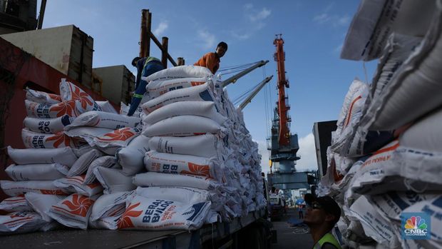 Suasana aktivitas pembongkaran beras impor dari Vietnam yang baru tiba di Terminal Pelabuhan Tanjung Priok, Jakarta, dengan menggunakan Kapal MP Fortune, Kamis (21/3/2024). (CNBC Indonesia/Tri Susilo)