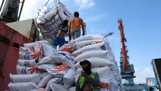 Suasana aktivitas pembongkaran beras impor dari Vietnam yang baru tiba di Terminal Pelabuhan Tanjung Priok, Jakarta, dengan menggunakan Kapal MP Fortune, Kamis (21/3/2024). (CNBC Indonesia/Tri Susilo)