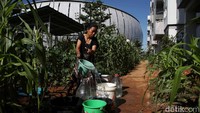 Untuk berwudhu, mereka mengambil air dari sumur seadanya.  
