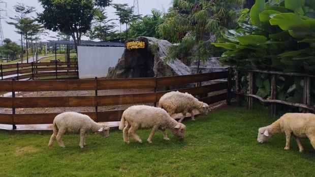Aviary Park Bintaro
