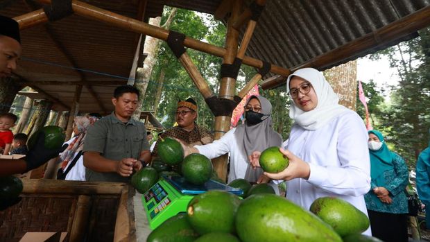 Bunga Desa Banyuwangi Bupati Ipuk