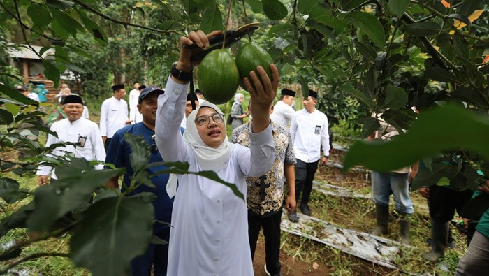 Bunga Desa Banyuwangi Bupati Ipuk