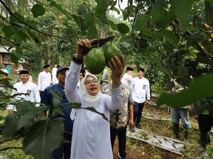 Bupati Ipuk Gali Potensi Pertanian Saat Ngantor di Desa Bumiharjo