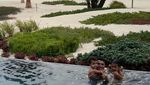 Foto: Cristiano Ronaldo Pamer Perut Roti Sobek di Pantai Arab Saudi