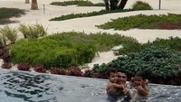 Lihatlah keseruannya berenang di kolam tempat mereka menginap (Cristiano Ronaldo/Instagram)