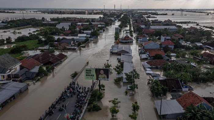 Dampak banjir di Demak Foto udara kondisi jalur utama pantura Demak-Kudus yang terendam banjir di Kecamatan Karanganyar, Kabupaten Demak, Jawa Tengah, Senin (18/3/2024). Menurut data yang dihimpun BPBD Kabupaten Demak dari Rabu (13/3) hingga Senin (18/3) banjir yang kembali melanda Kabupaten Demak itu karena curah hujan tinggi yang menyebabkan sejumlah tanggul sungai jebol sehingga mengakibatkan ribuan rumah terendam banjir di 89 desa dari 11 kecamatan, 24.946 jiwa mengungsi, serta terputusnya jalur utama pantura Demak-Kudus. ANTARA FOTO/Aji Styawan/aww.