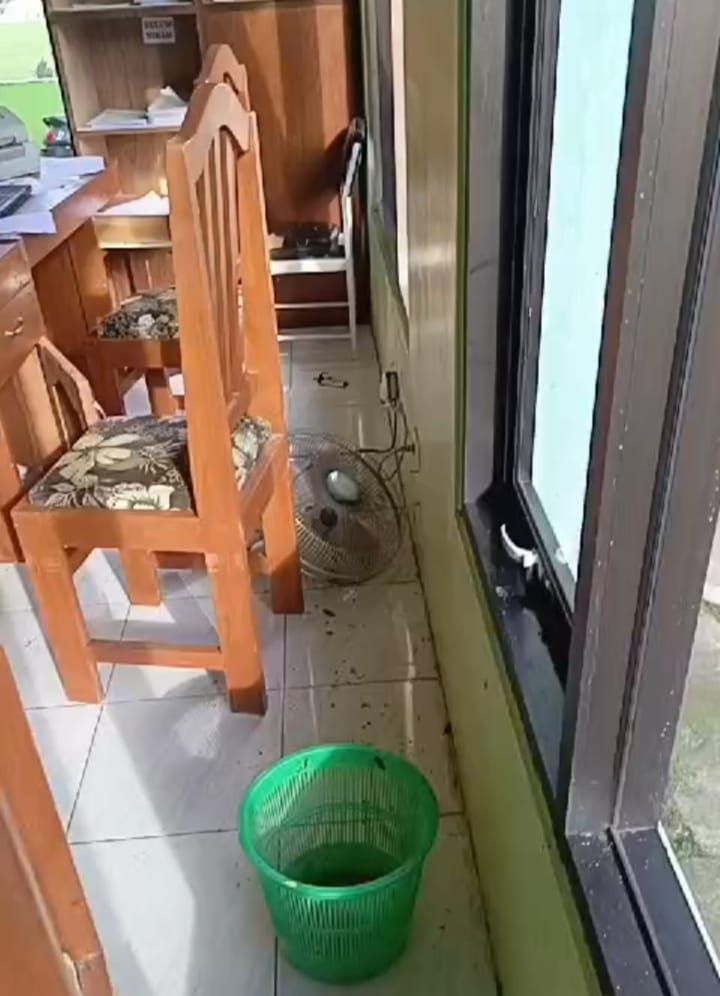 gempa tuban berdampak ke kecamatan tambak bawean gresik