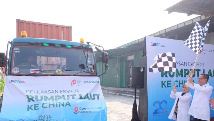 Rumput laut bisa diolah menjadi produk makanan. Di Desa Seriwe, Lombok Timur, Nusa Tenggara Timur, rumput laut diolah menjadi dodol dan kerupuk.
