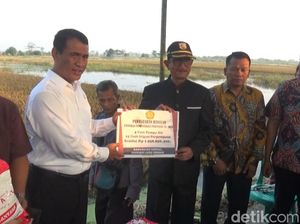Mentan Ganti Benih Padi 1.000 Hektare Sawah Terendam Banjir di Kendal
