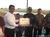 Mentan Ganti Benih Padi 1.000 Hektare Sawah Terendam Banjir di Kendal