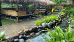Ngeliwet Asyik dengan Lauk Komplet di Restoran Homey Asri