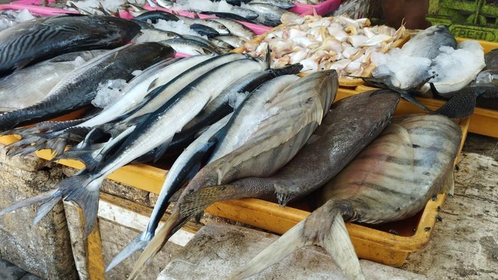 Ngabuburit selama Ramadan perlu bervariasi agar puasa tidak membosankan. Satu diantaranya, berburu ikan laut di pasar ikan pantai Tambakrejo, Kabupaten Blitar.