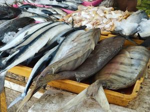 KKP Prediksi Kebutuhan Ikan Selama Ramadan Capai 1,64 Juta Ton