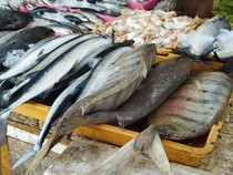 Ngabuburit Asyik Berburu Ikan Laut di Pasar Ikan Tambakrejo Blitar