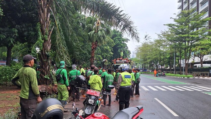 Petugas menangani pohon tumbang di depan Mako Brimob Kwitang, Jakarta Pusat.