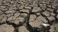 Hari Air Sedunia diperingati pada tanggal 22 Maret setiap tahun untuk meningkatkan kesadaran tentang masalah air dan meningkatkan keberlanjutan pengelolaan sumber daya air. 