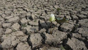 Potret Kekeringan Kamboja di Hari Air Sedunia