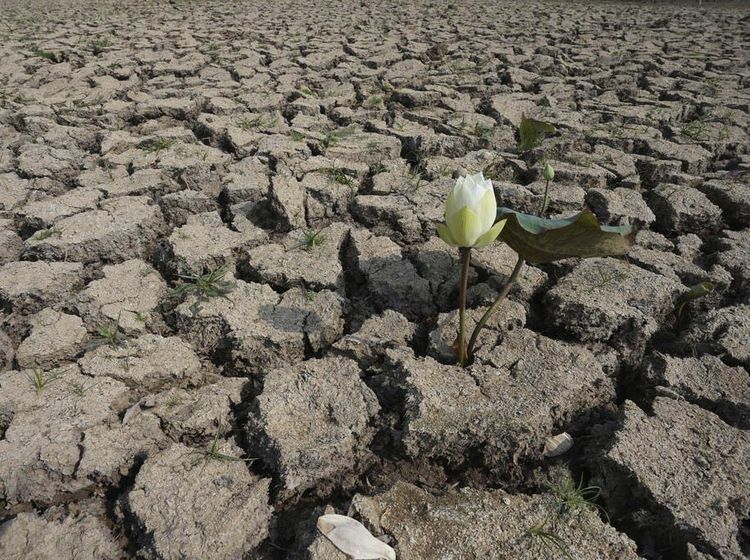 Potret Kekeringan Kamboja di Hari Air Sedunia