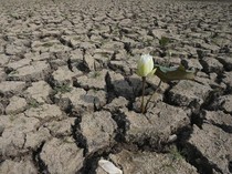 Potret Kekeringan Kamboja di Hari Air Sedunia