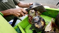Satu buah lontar ini dibandrol dengan harga Rp 20 ribu. Buah ini ada yang berisi 1 atau 2 bahkan 3 biji.