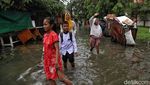 Semper Barat Cilincing Banjir, Begini Kondisinya