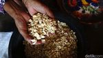 Stok Berlimpah, Harga Kemiri Anjlok ke Rp 35 Ribu/Kg