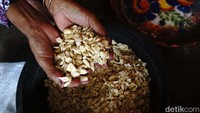 Saat ini harga kemiri yang digunakan sebagai bumbu dapur itu turun dari Rp 50 ribu/kg menjadi Rp 35 ribu/kg.