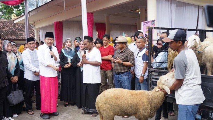 Gus Fawait (sarung pink) menerima sumbangan ternak untuk maju di Pilkada Jember