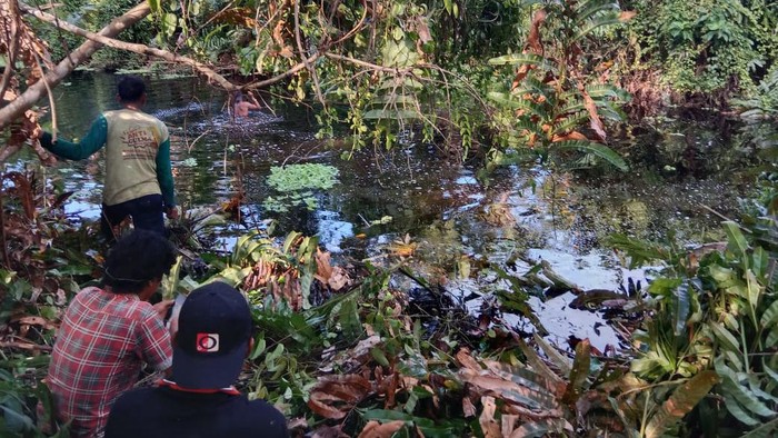 Lokasi remaja wanita hilang diterkam buaya di Buton Tengah, Sultra.