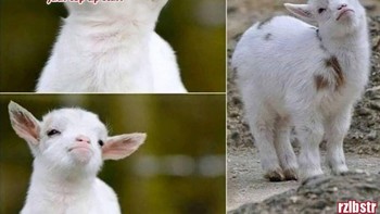 Siapa yang mukanya kaya gini? Foto: Instagram