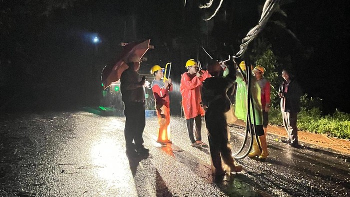 Petugas PT PLN (Persero) UID Bali melakukan perbaikan jaringan listrik akibat cuaca ekstrem beberapa waktu lalu. (Foto: PT PLN UID Bali)