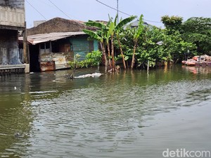 Banjir di Tegal Alur Belum Surut, Ketua RW Ungkap Pompa Air Rusak