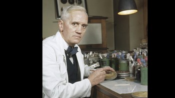 Alexander Fleming: Setelah menemukan enzim lisozim di 1922, tahun 1928 dokter Skotlandia Alexander Fleming berlibur. Saat balik ke lab, ia memeriksa koleksi cawan Petri yang ditinggalkannya mengandung bakteri staphylococcus. Nah, salah satu piringnya terkontaminasi jamur. Fleming memperhatikan itu telah menghentikan pertumbuhan bakteri dan menghancurkannya. Dia telah menemukan penisilin antibakteri. Setelah bertahun-tahun penelitian, tahun 1943 penisilin diproduksi massal di AS untuk membantu pasukan mereka dan sekutunya selama Perang Dunia II. Kemudian, dibuat untuk kepentingan umum. Beberapa perkiraan menyatakan 200 juta nyawa terselamatkan berkat penemuan tidak disengaja ini. Foto: Wikipedia