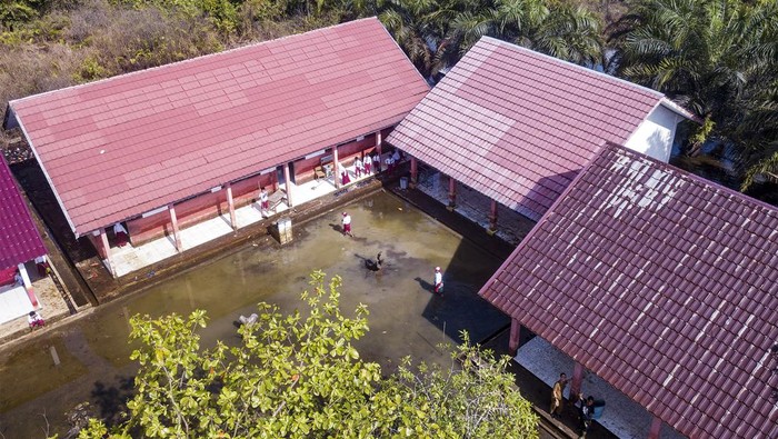 Banjir Surut, Siswa SD di Jambi Kembali Semangat Menimba Ilmu Sejumlah siswa mengikuti kegiatan belajar mengajar SDN 34 Sungai Bungur pascabanjir di Muaro Jambi, Jambi, Senin (25/3/2024).Banjir luapan Sungai Batanghari yang menggenangi sekolah itu sejak awal Januari 2024 dan meliburkan kegiatan belajar mengajar langsung sejak 14 Januari 2024 lalu atau 2 bulan lebih, tidak menyurutkan semangat 305 pelajar SD setempat untuk memulai lagi hari pertama sekolah pascabanjir pada hari ini. ANTARA FOTO/Wahdi Septiawan/rwa.