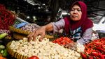 Harga Bawang Putih Tinggi Banget!