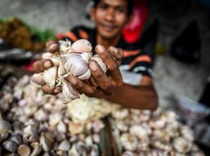Harga Bawang Putih di Sumut Makin Mahal, KPPU Singgung Realisasi Impor Minim