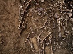 Ini Hari Paling Mematikan dalam Sejarah Manusia, Seperti Kiamat