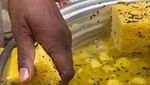 10 Penjual Makanan India yang Viral di TikTok, Bikin Bergidik!