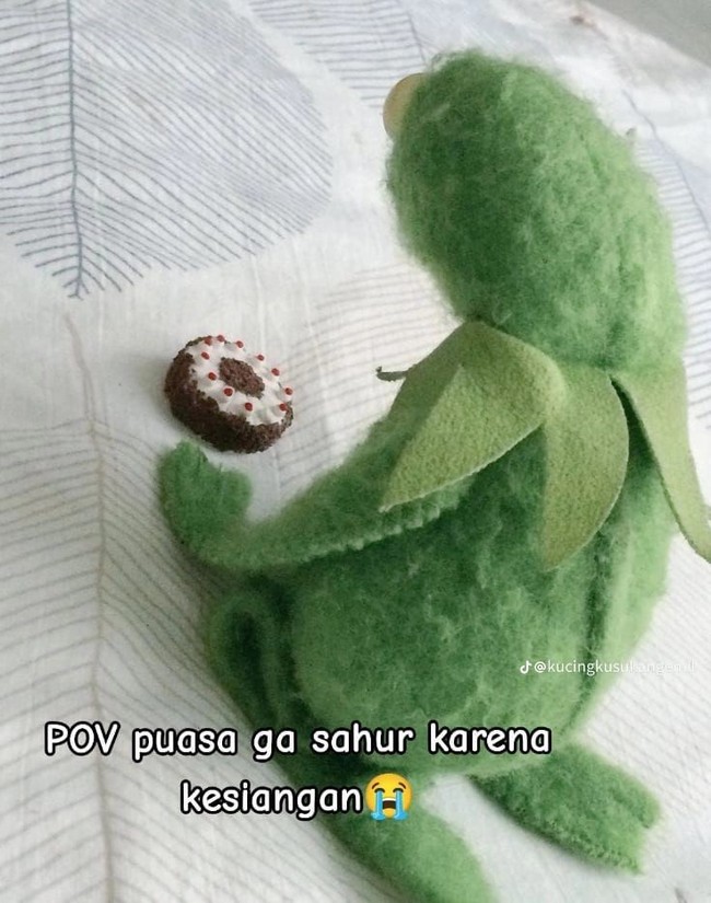 Apes, seharian cuma bisa meratapi nasib sambil ngiler melihat makanan sahur yang belum kemakan karena keburu imsak. Foto: Twitter