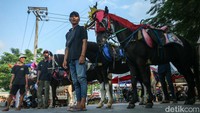 Dengan cicilan tersebut Adul tak keberatan, bahkan rekan-rekannya di klaster kuda pun turut mengikuti jejak Adul. Diketahui klaster kuda Mutiara Gading ini memiliki 25 anggota aktif.  