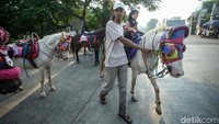 Pria yang sebelumnya bekerja selama 6 bulan di perusahaan kabel di Kawasan MM 2100, Cikarang. Ia memilih untuk ikut bersama sang kakak dengan membeli seekor kuda dari Bandung. Berawal dari iseng menuntun kuda, lambat laun sang kakak mengajarkannya seluruh cara mengendalikan kuda seperti belok, berhenti, memasang sepatu hingga mengatasi kuda yang ngamuk.  
