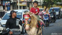 Diketahui dalam satu rit yaitu 100 meter, penumpang harus membayar 10 ribu untuk anak-anak dan 20 ribu untuk dewasa.  